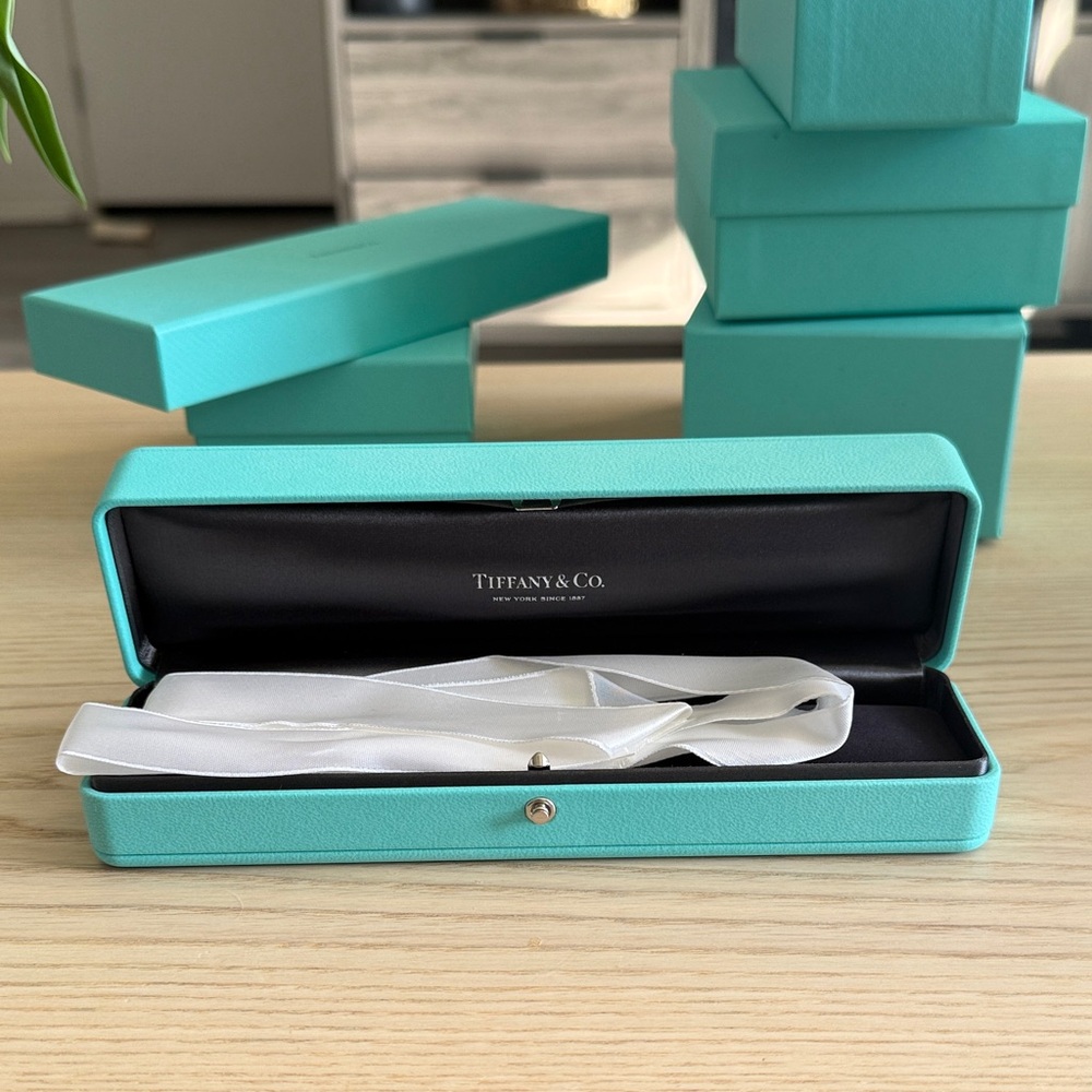 Elegant Turquoise Glasses Case